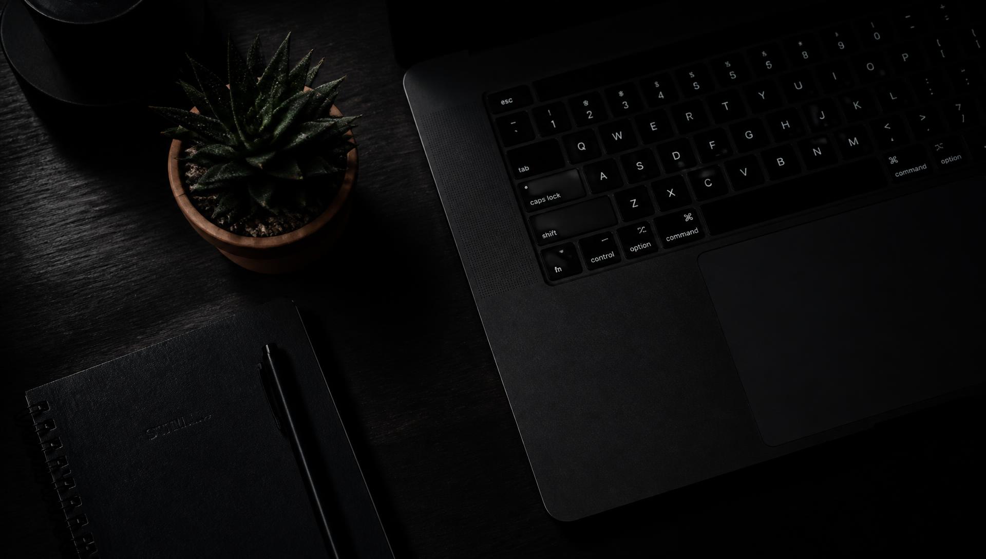 Dark desk workspace with a laptop, notebook and a small plant